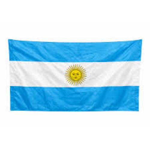 LOW COST BANDERA MUNDIAL ARGENTINA 70X140 CM. UNI